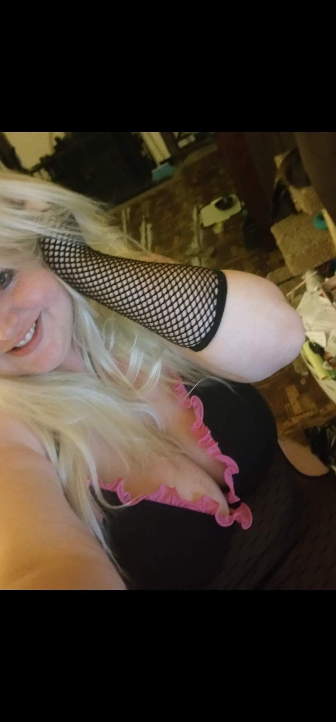 Molli Meows