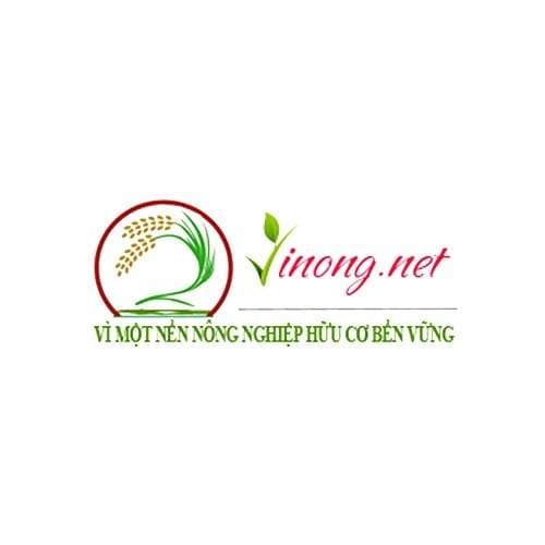 Cách làm dịch chuối