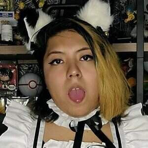 cheesecake_neko