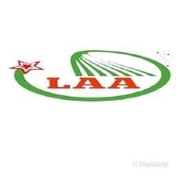 Lâm An