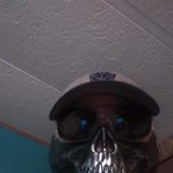 Danzilla_White