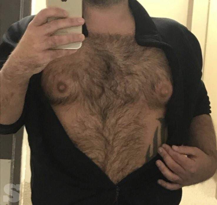 Capital Nip Pig 🐽