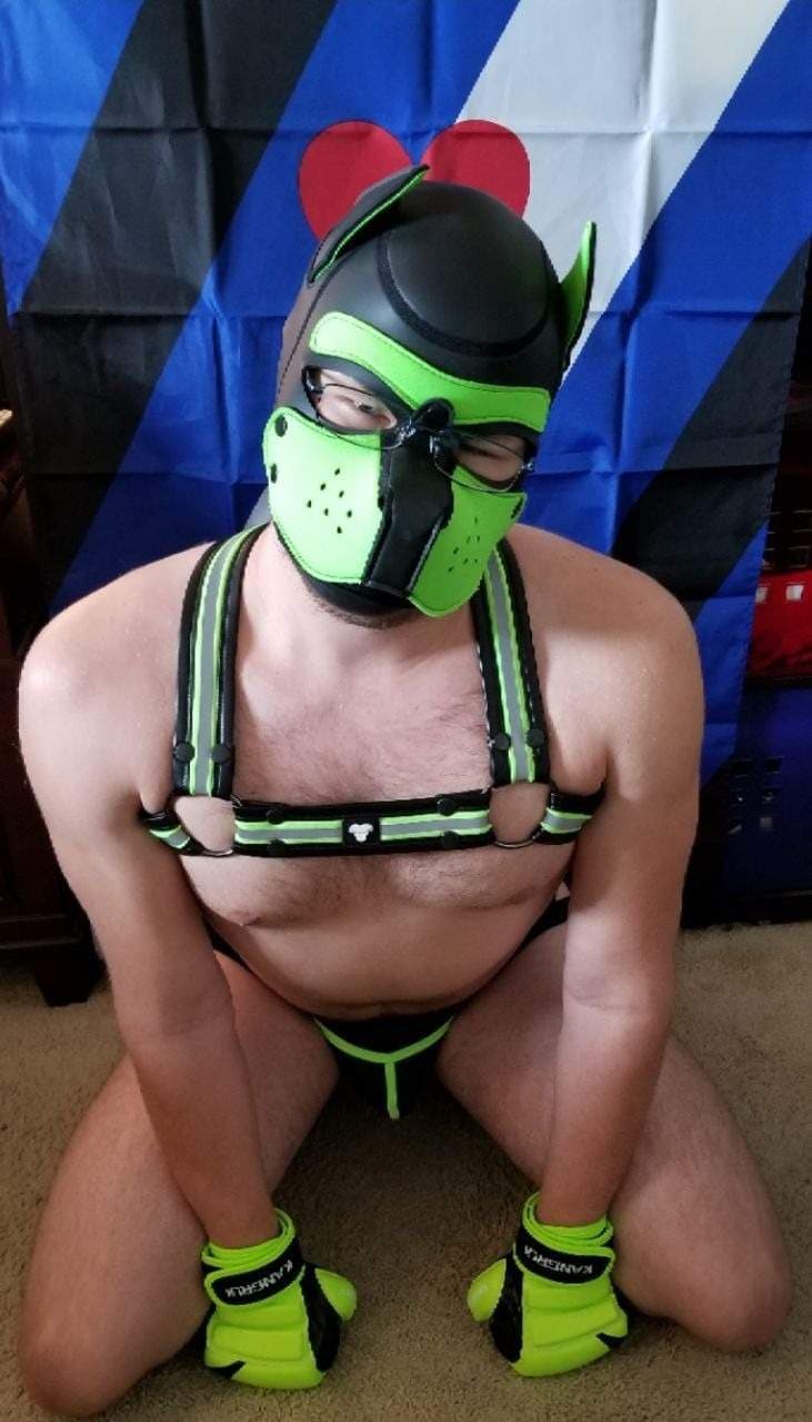 Pup jace