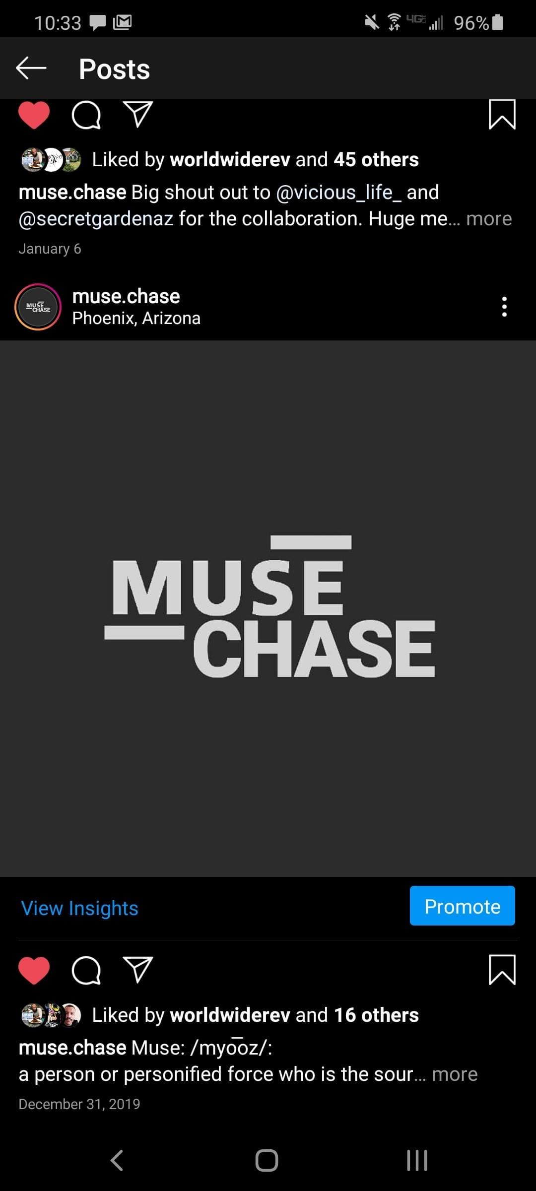Muse.Chase