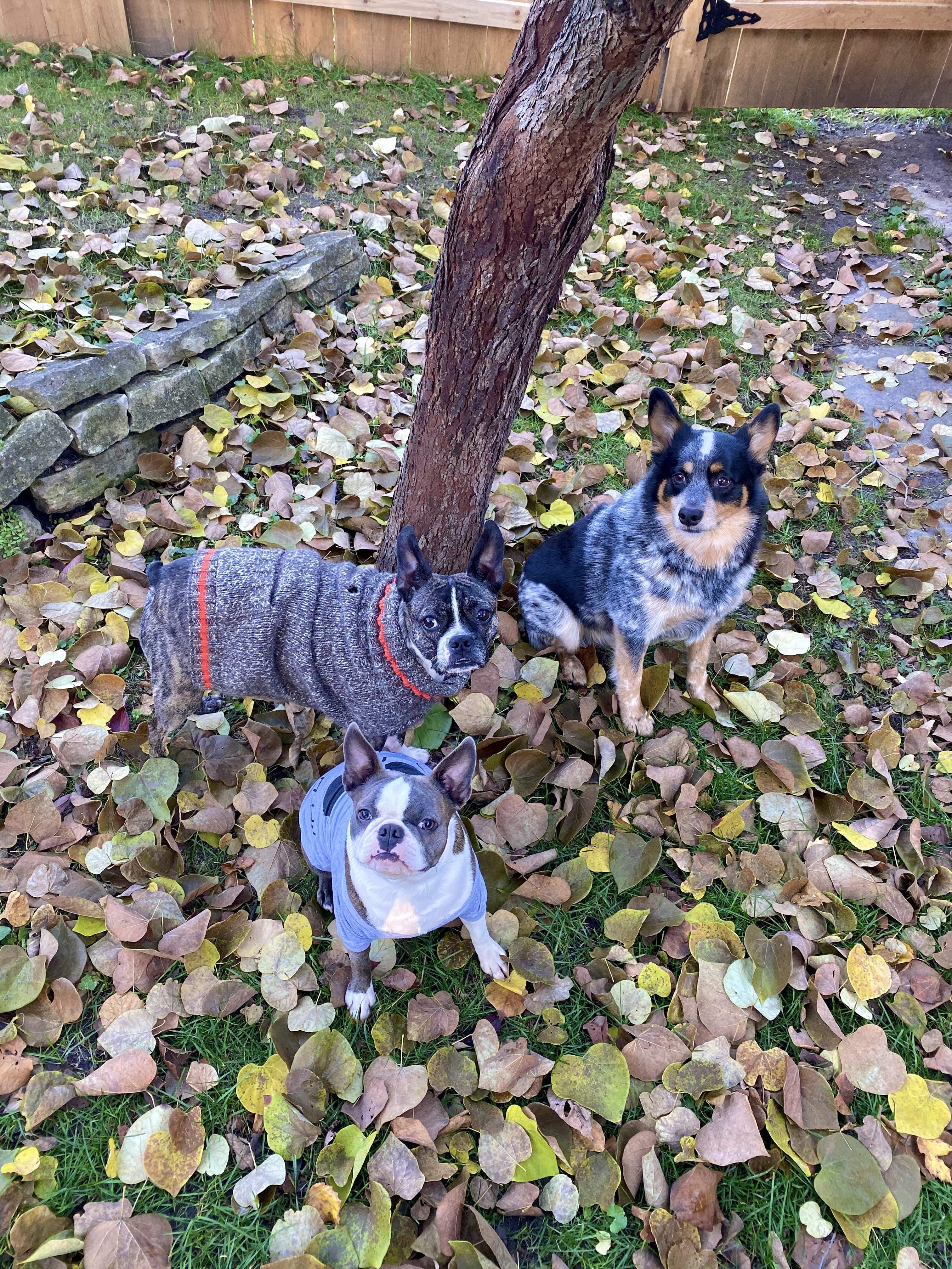 Bruce Wayne, Ollie &amp; Thea