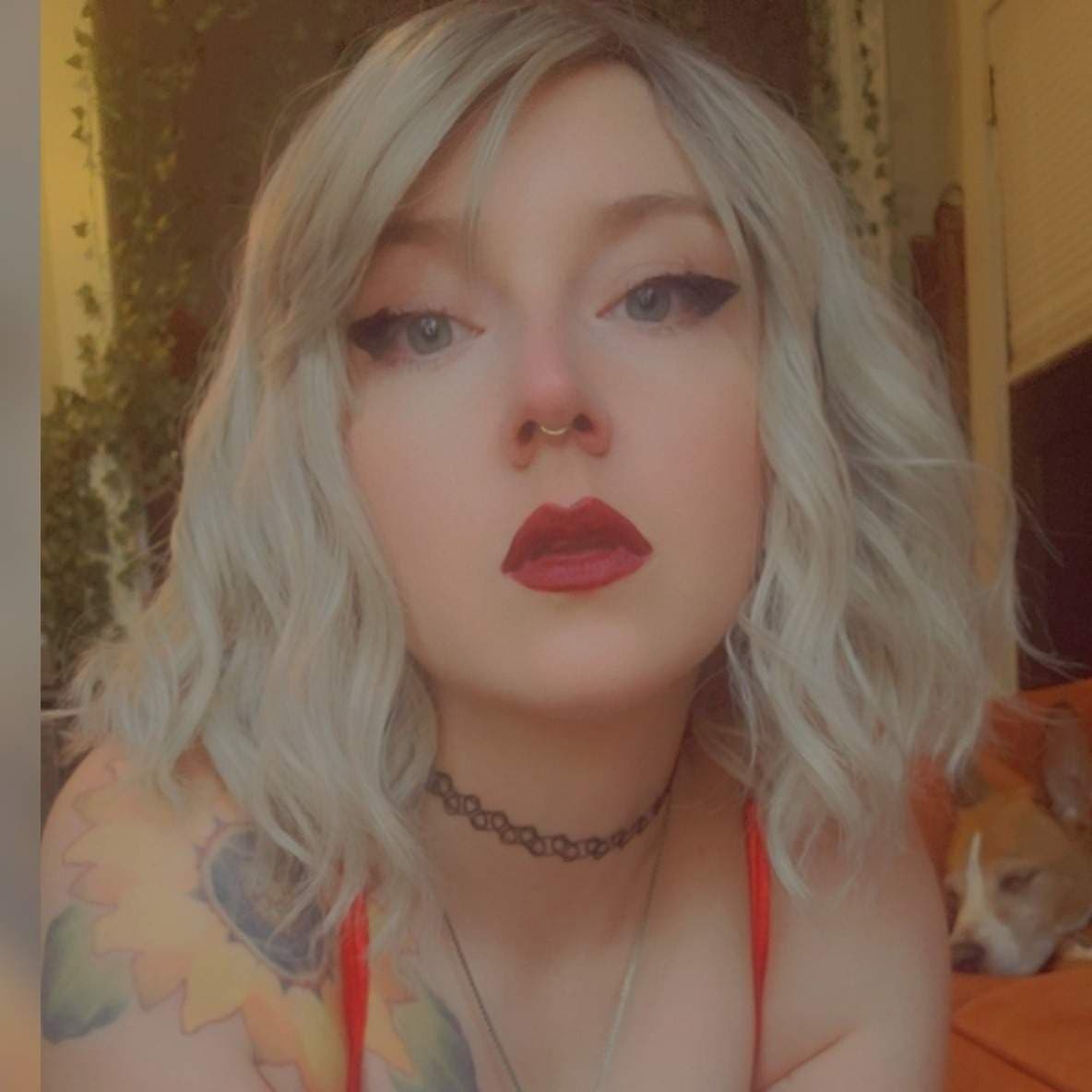 Gnarly Bliss
