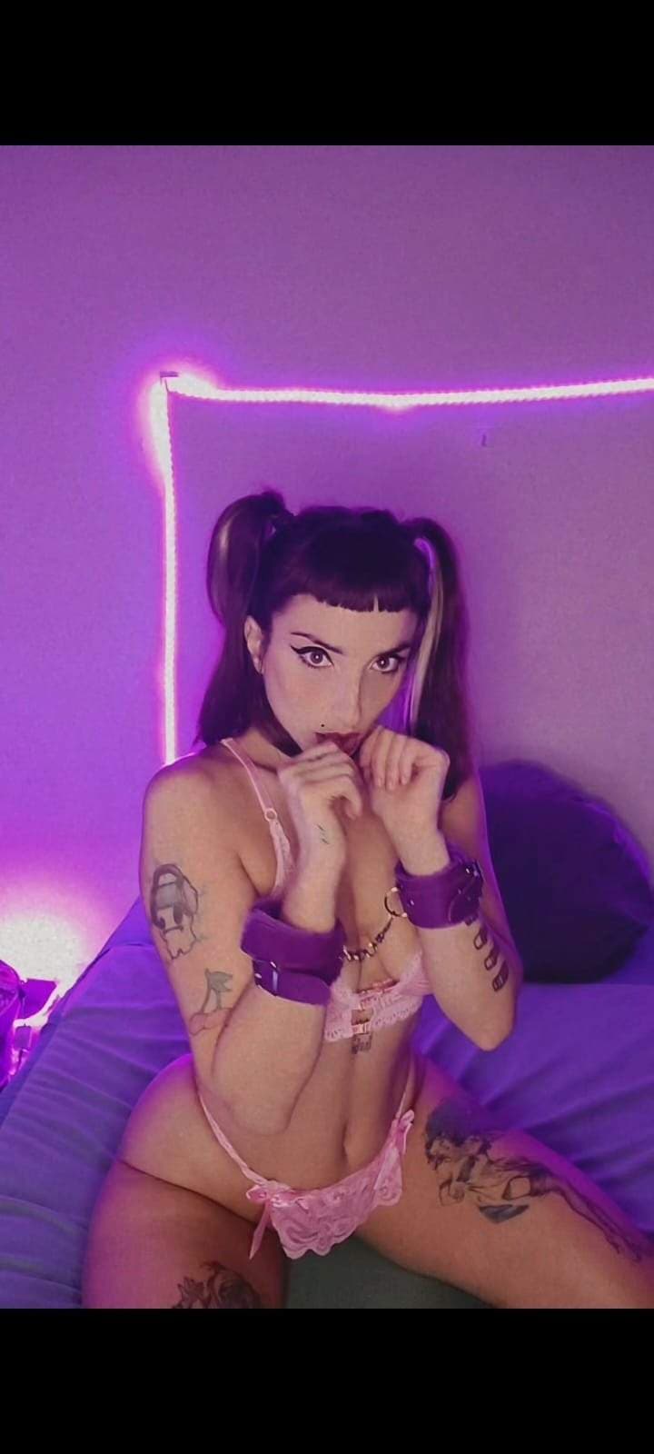 LuLudeCarton