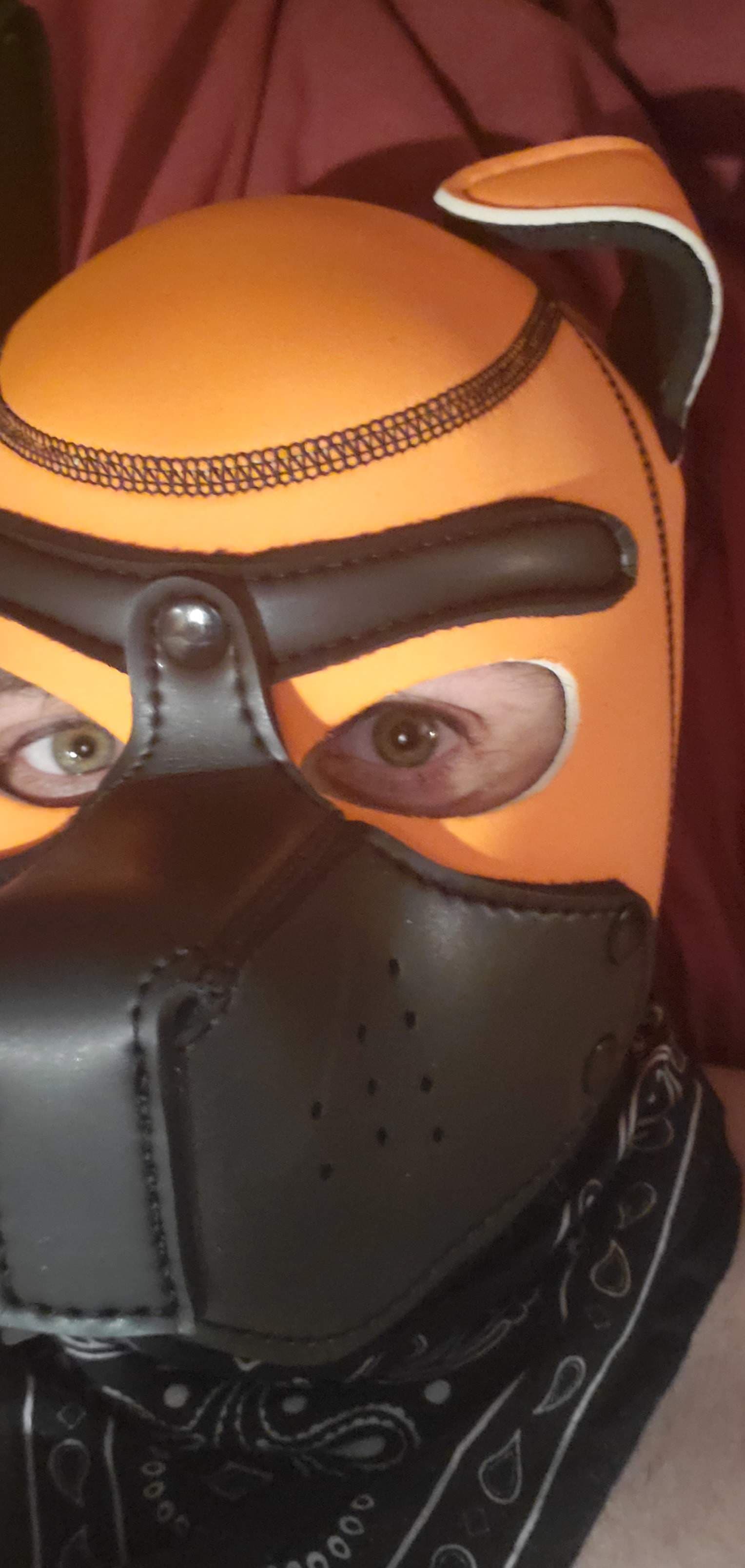 Dakota
