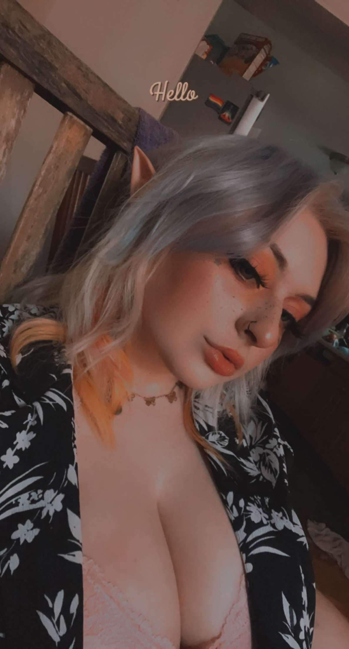kitty kat