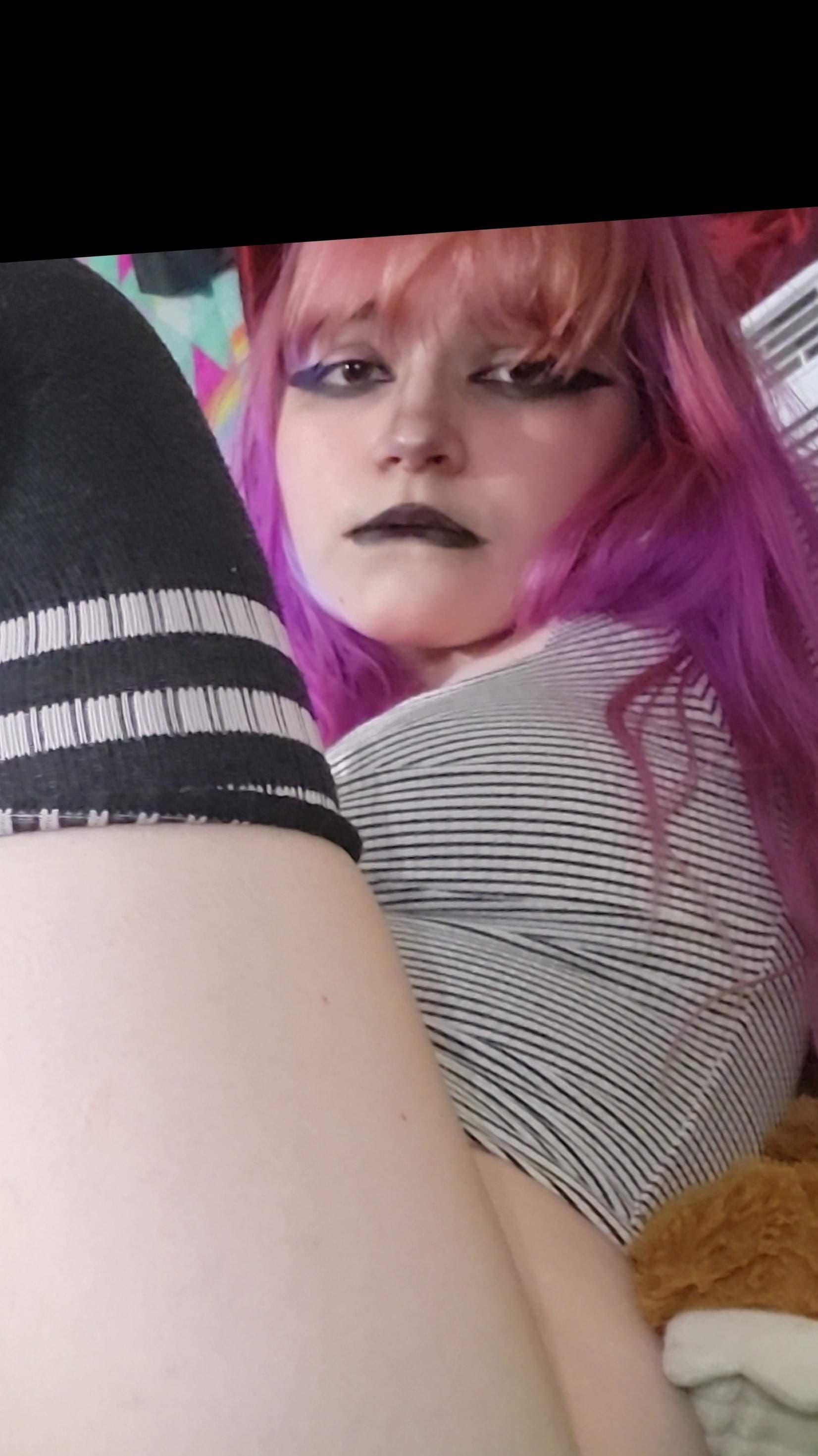 Bratty kitten