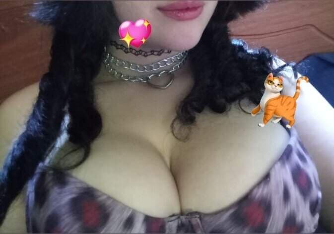 Gatita_ñau