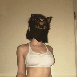 Ally Cat