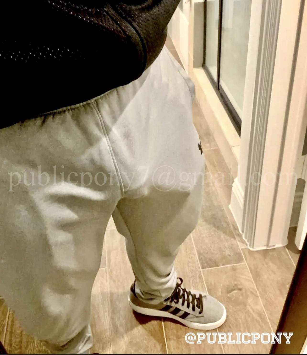 Public Pony