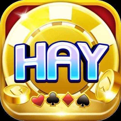 Hayvin Blog
