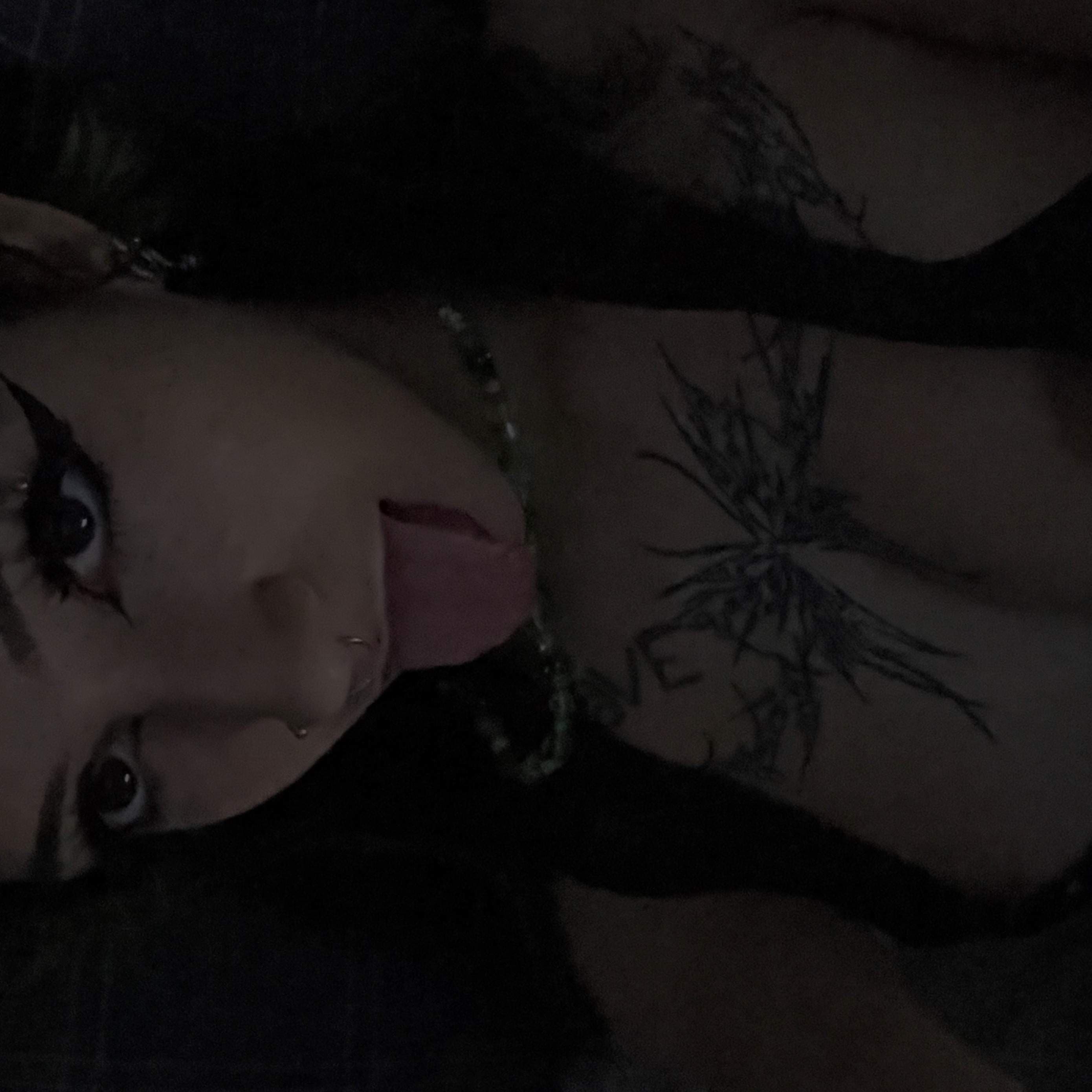 ༺✧༻𝖒𝖆𝖗𝖓𝖎༺✧༻