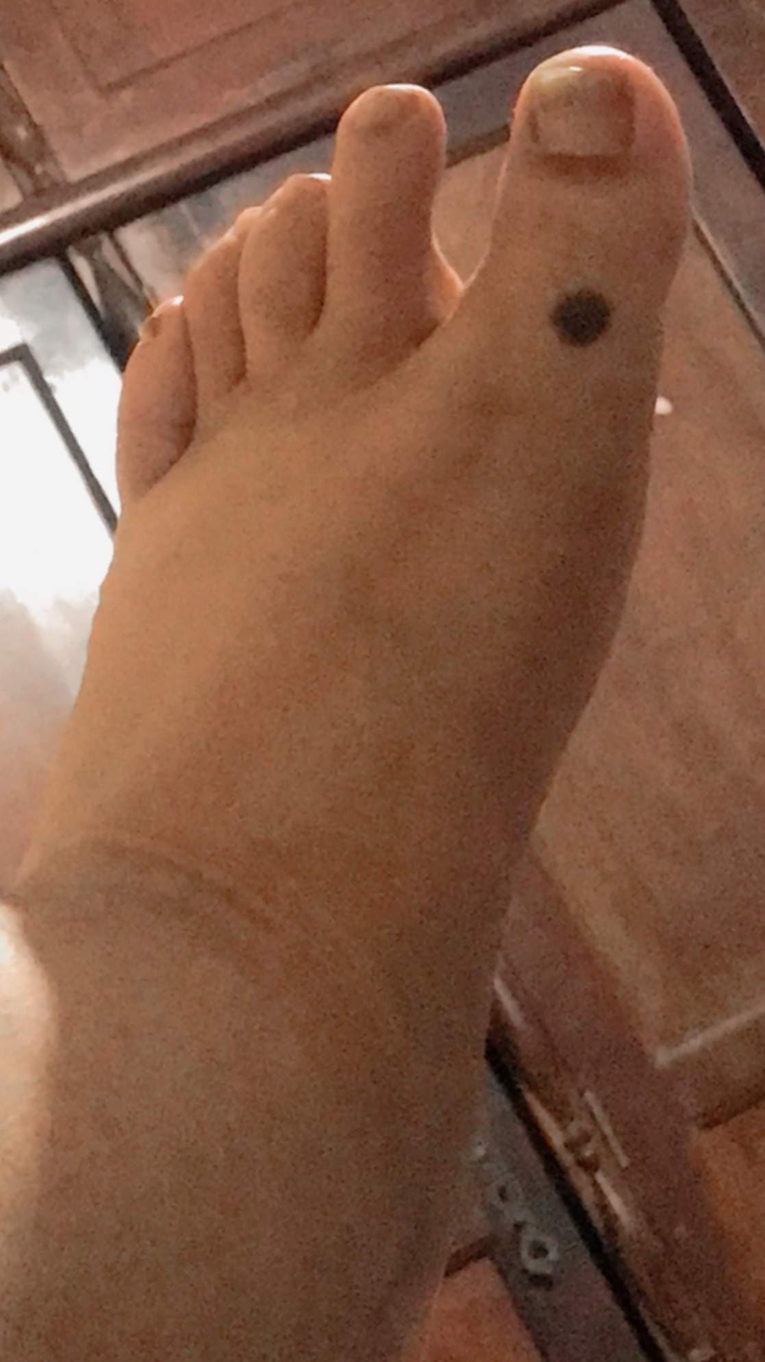 Catarina Favorino