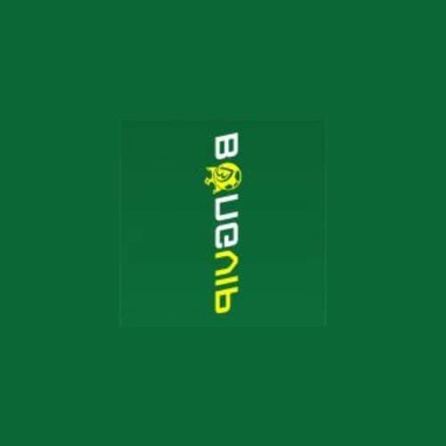 Bongvip