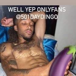 501DayDingo