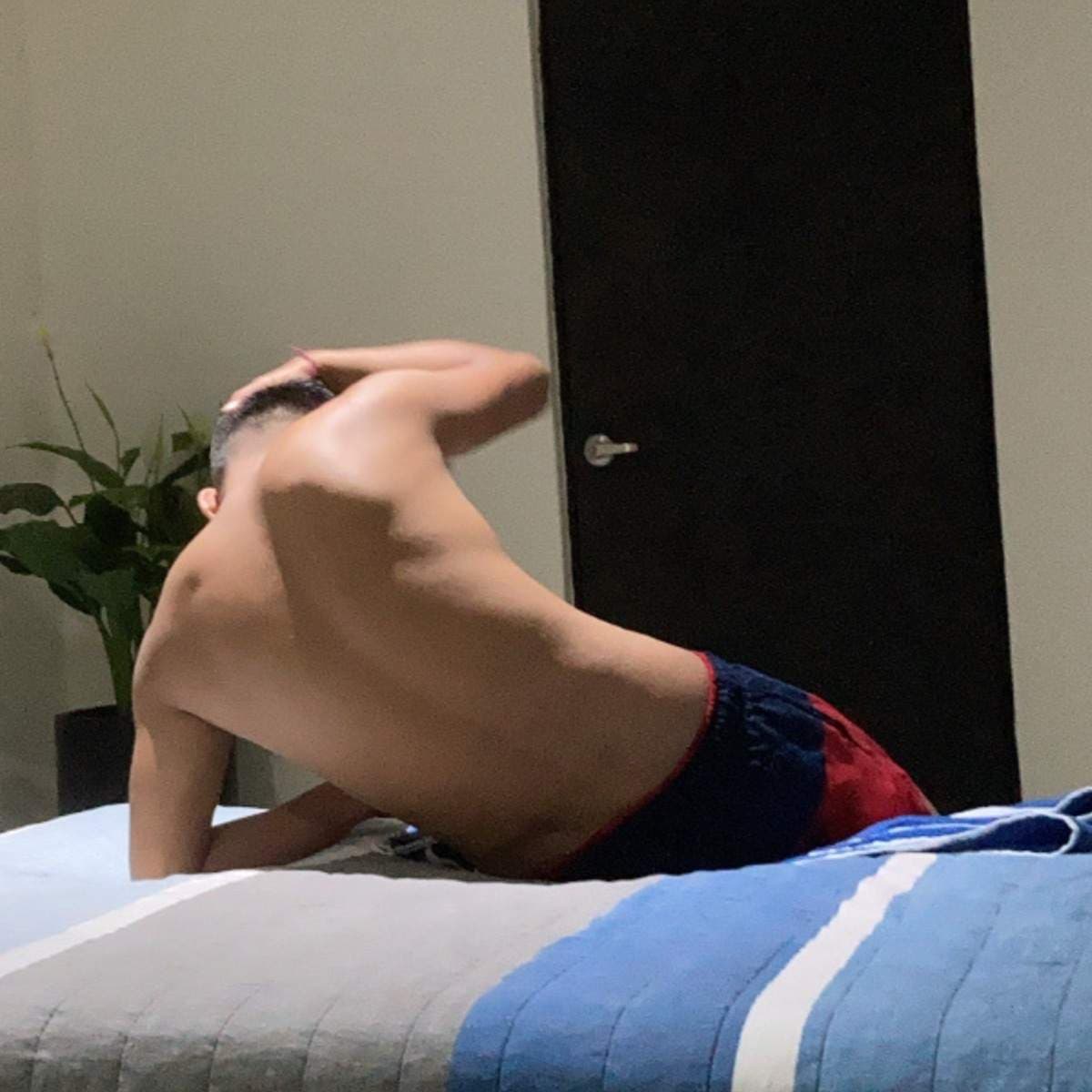Latin cock
