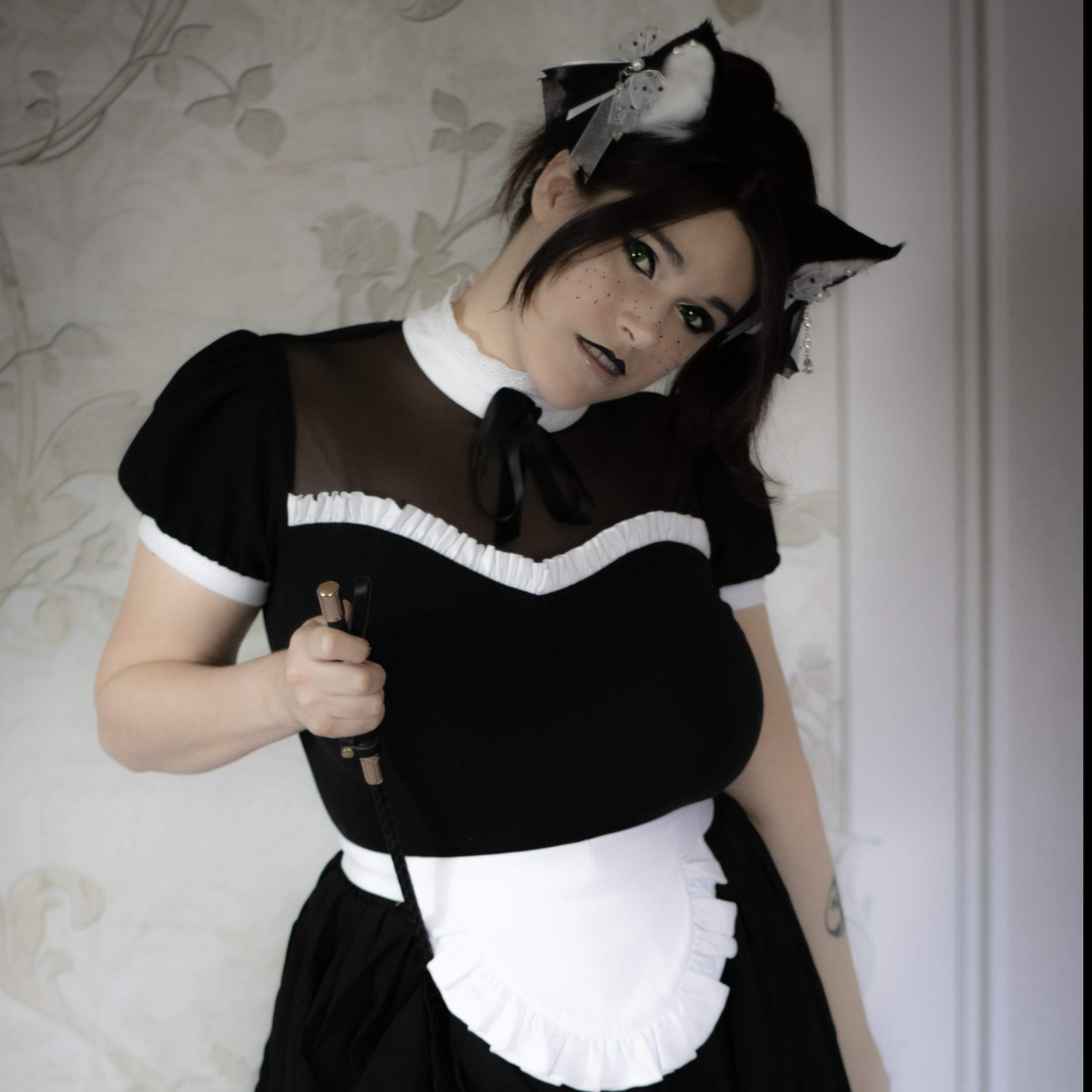 Ayli Katt