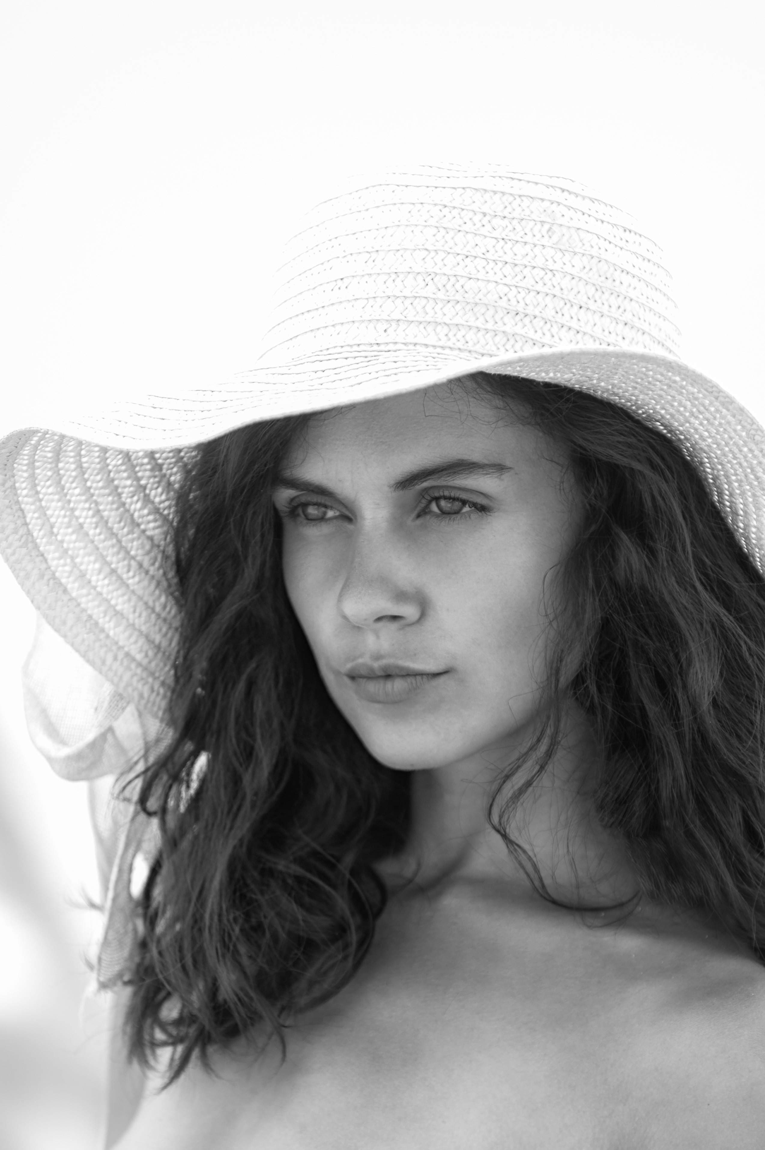 Sabi Model
