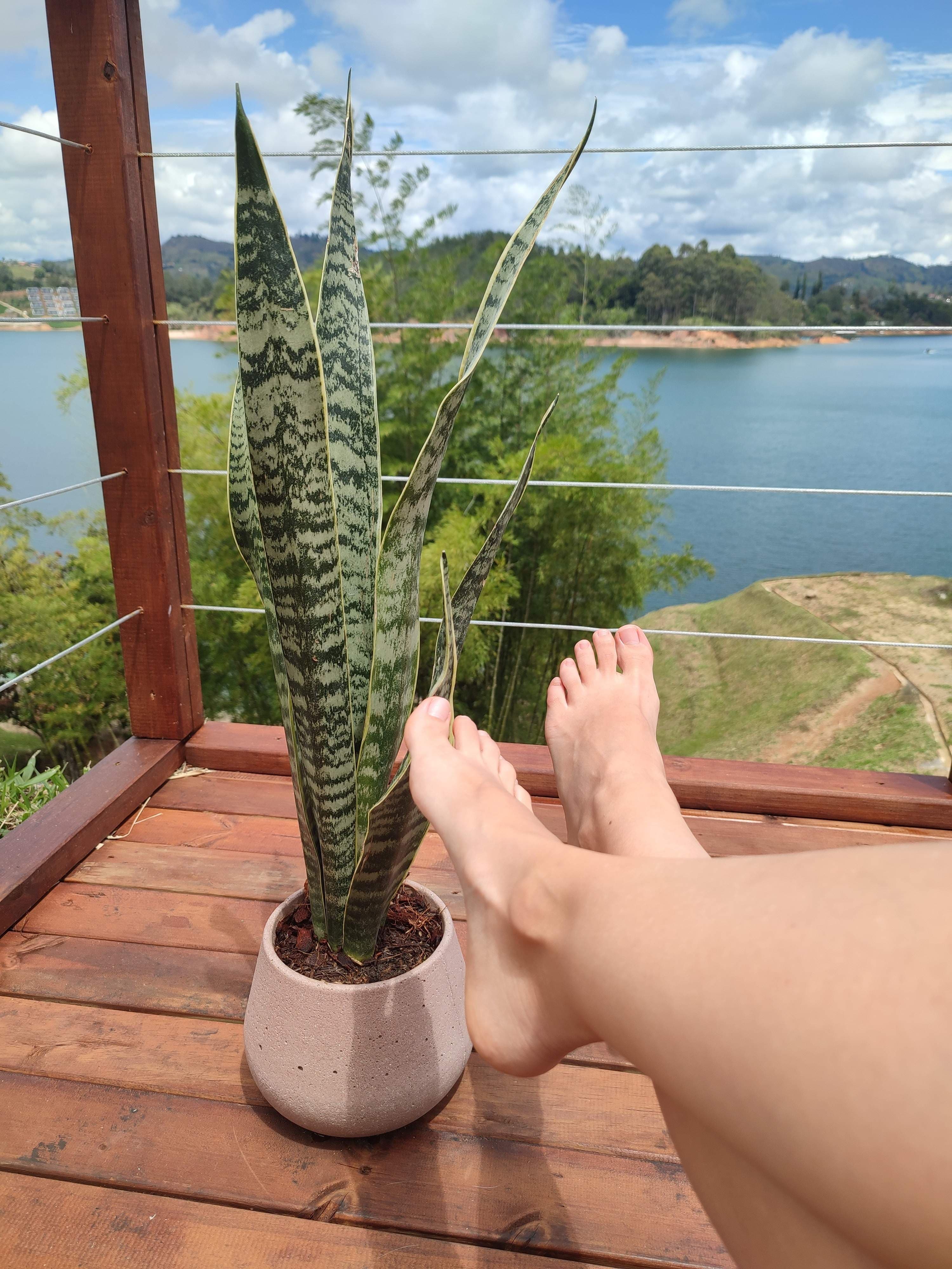 PetiteFeet