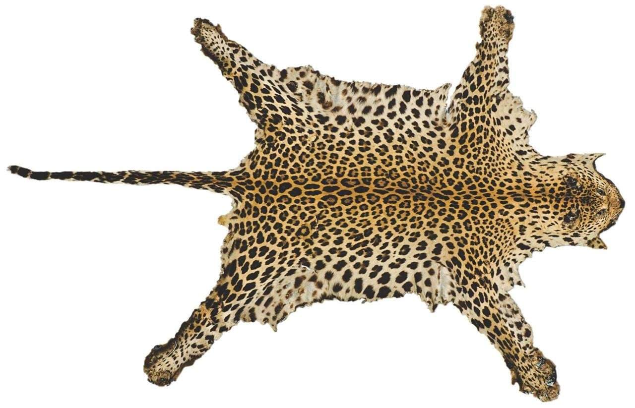 D Jay Exotic