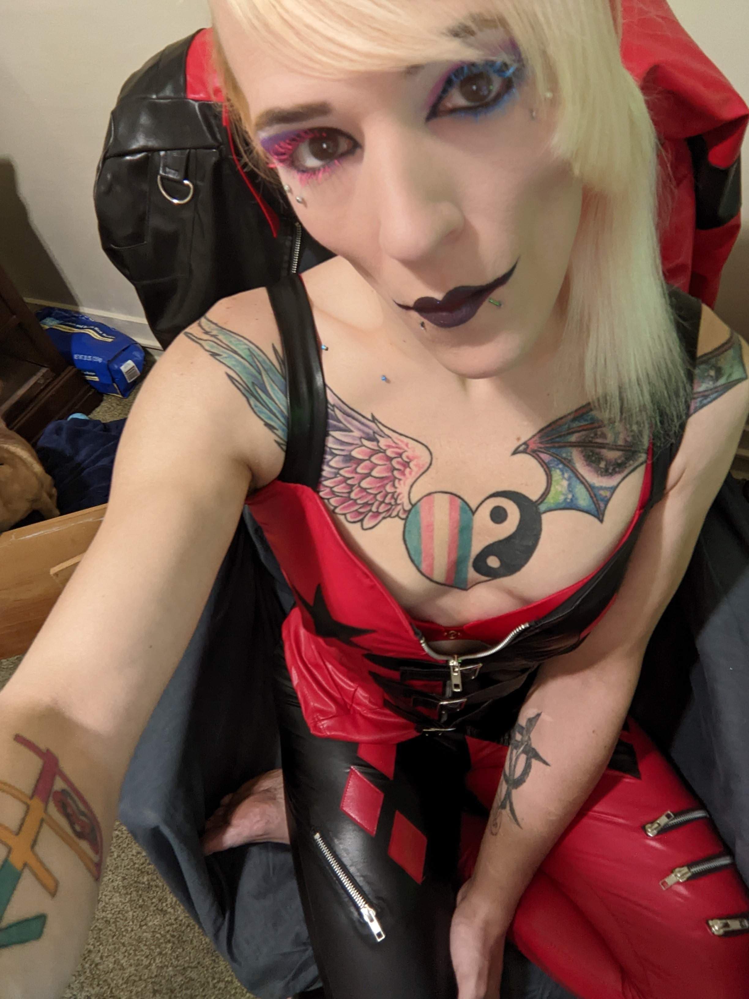 Harley Vee