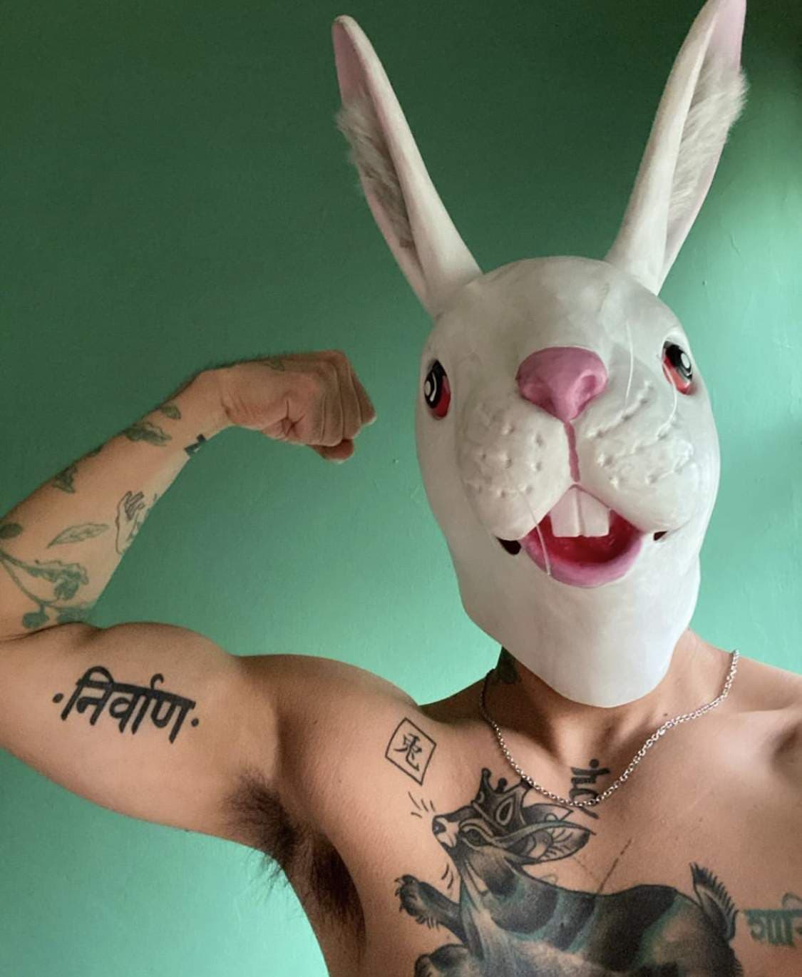 El Conejo Rey 🐇👑