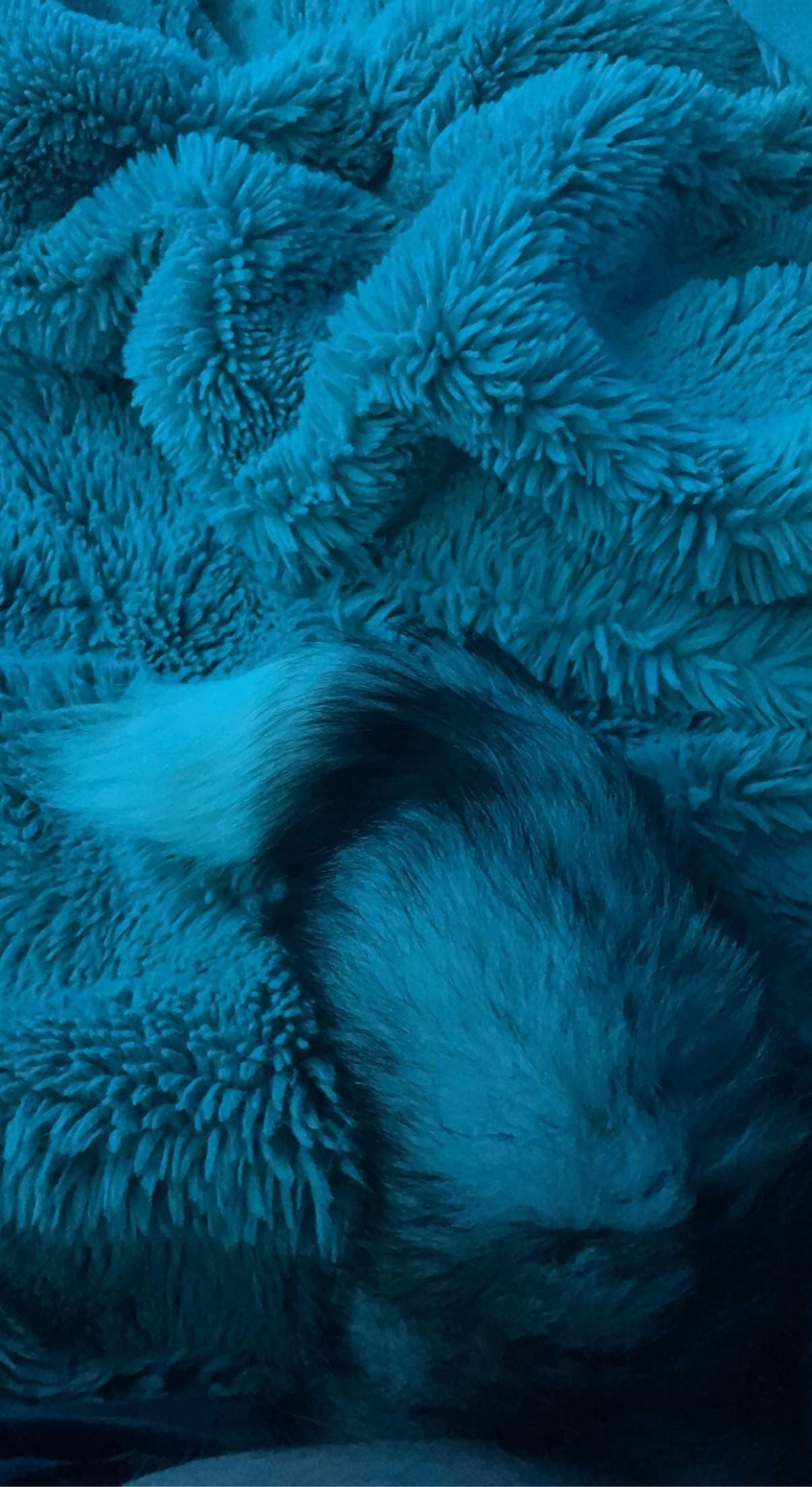 Furlover26