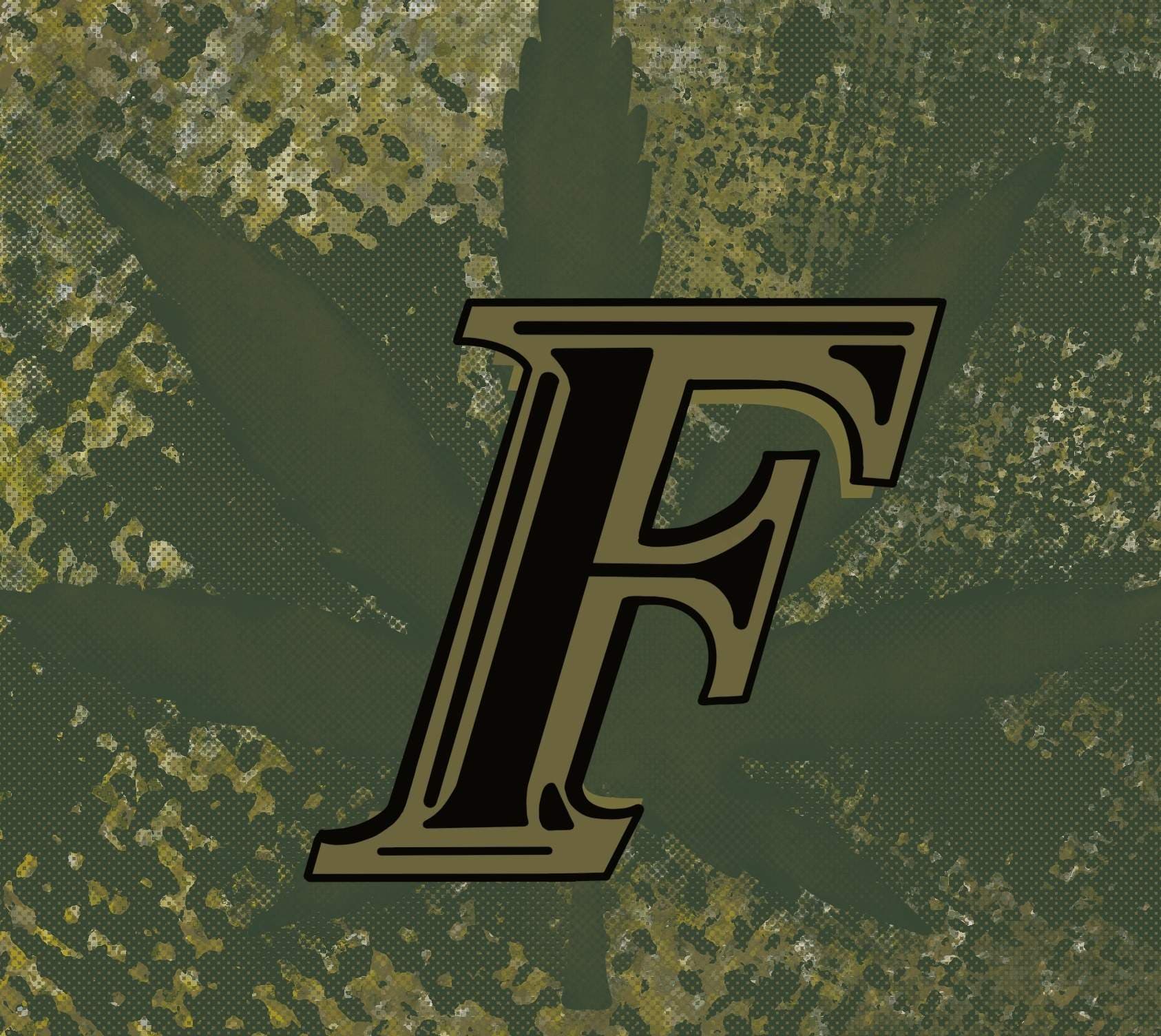 Friz