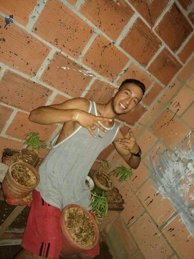 DCN DAVICO