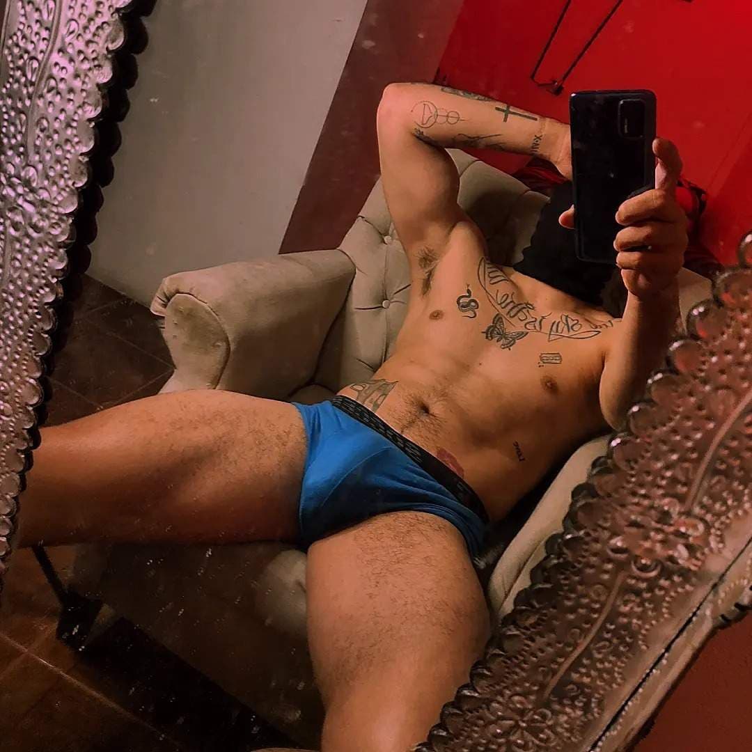 |Sebastian pulchra|