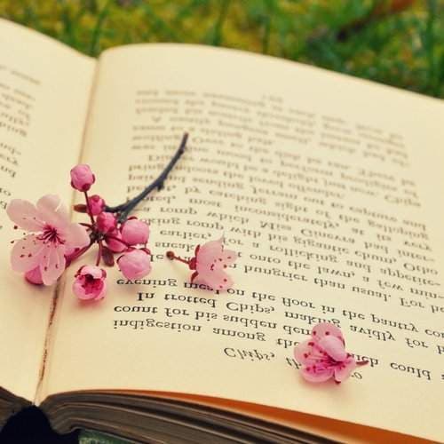 Kritter Reads