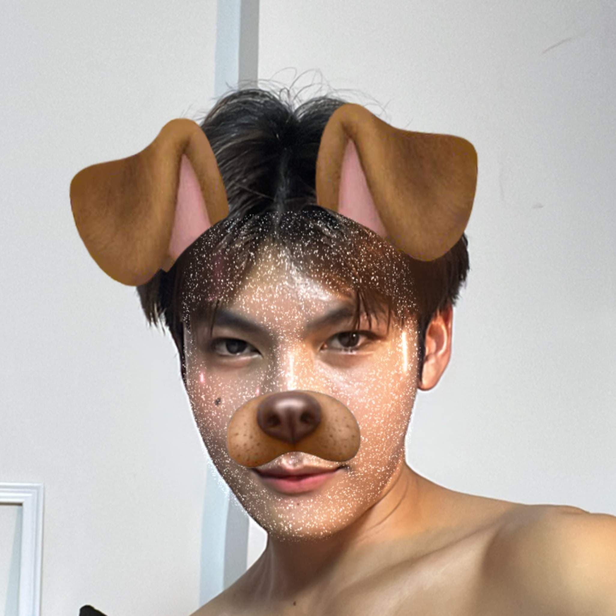 tofucatboy