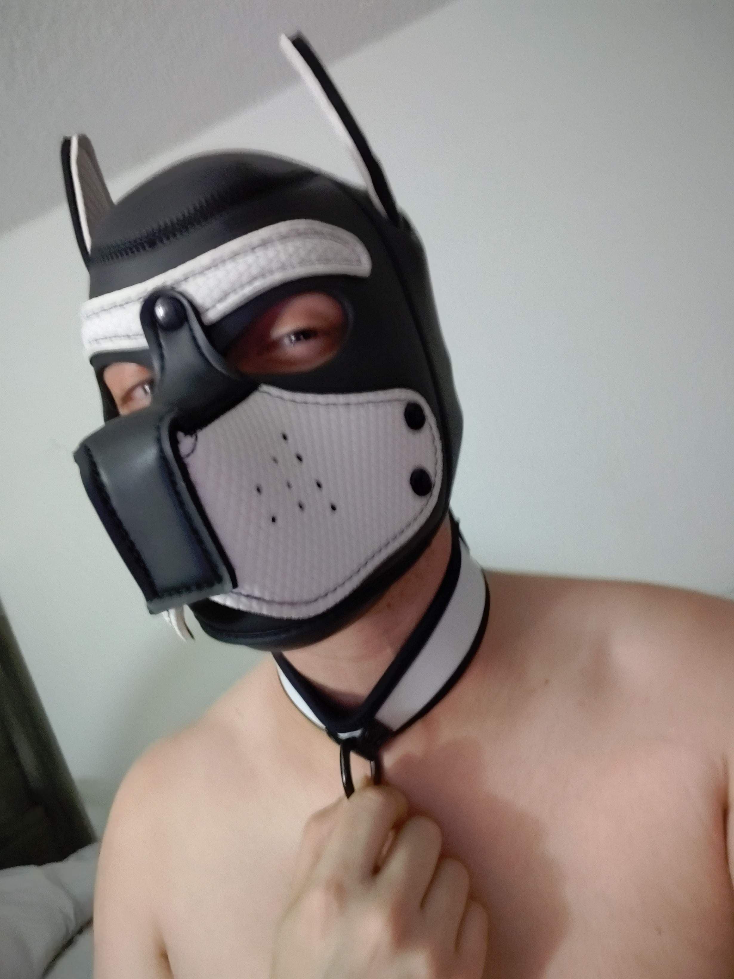 Pup Scorch