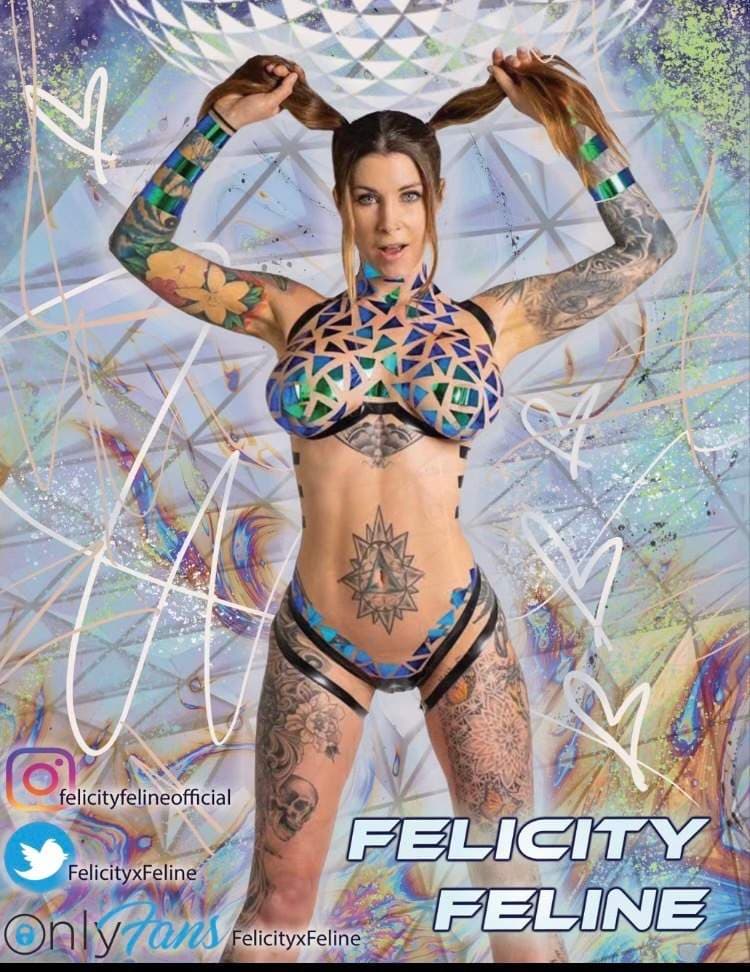 Felicity Feline