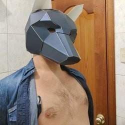 HOTTONYDESTROYER