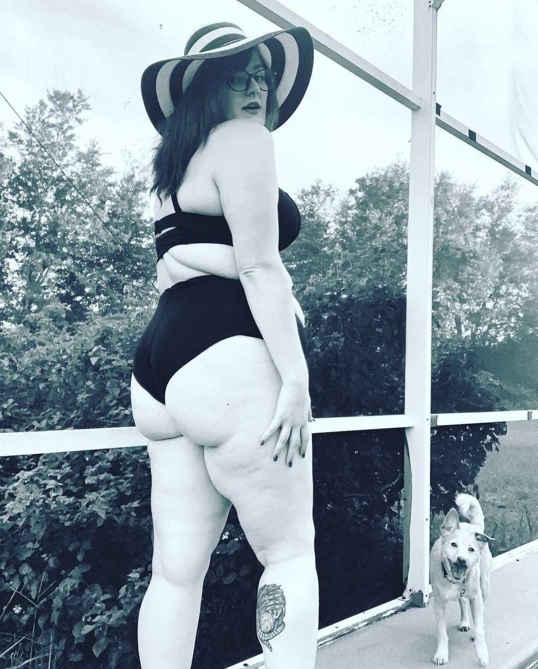The Dildo Queen 👑
