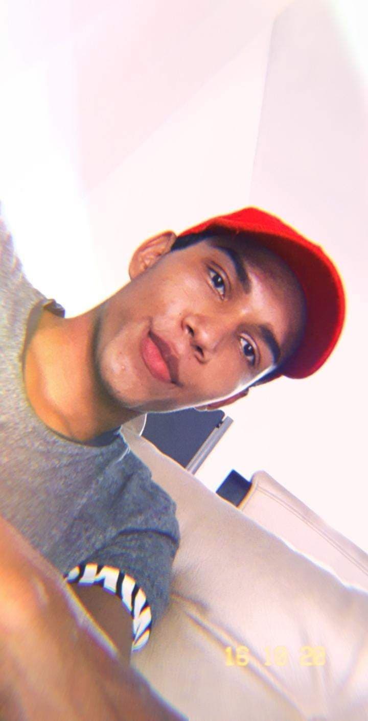 ROM SER