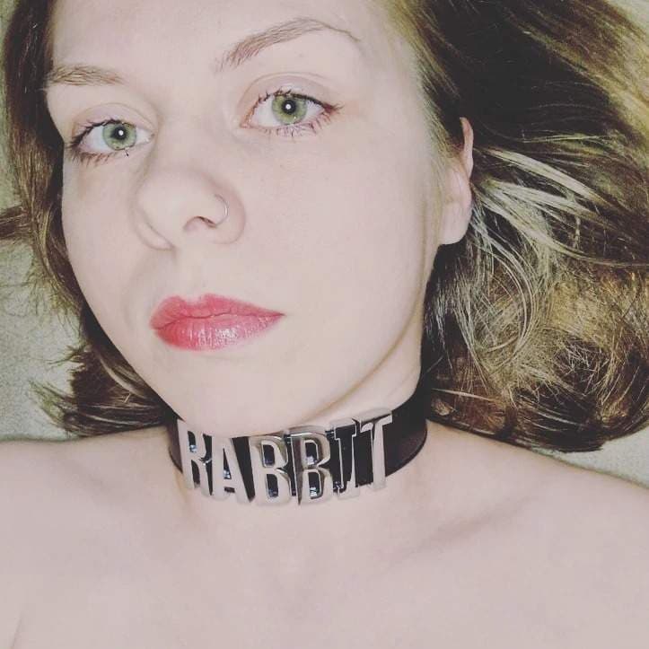 TheWetRabbit