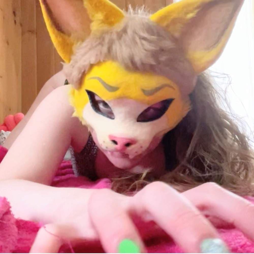 THE frisky feline