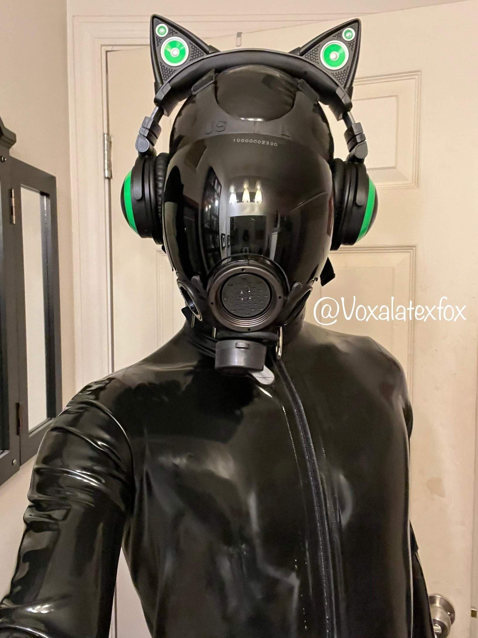 Vox🦊A Latex Fox