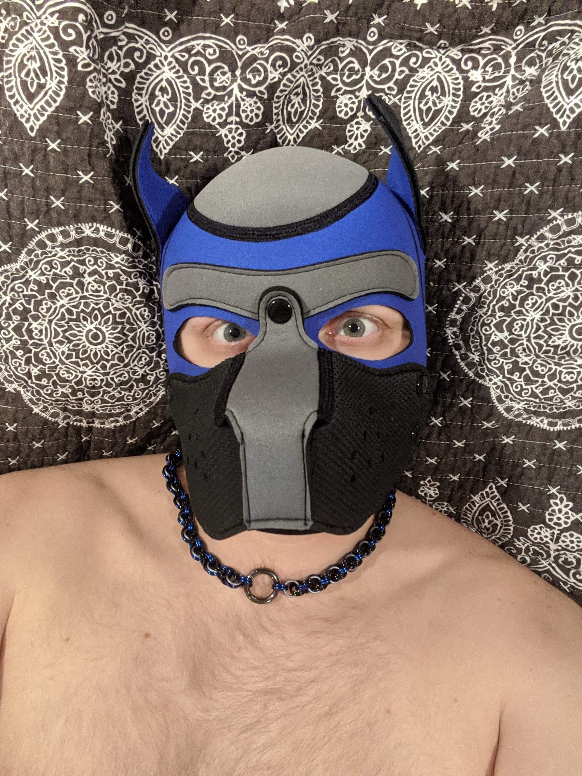 Pup Goose