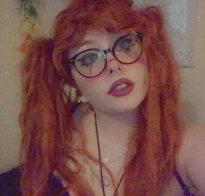 Nova Willow
