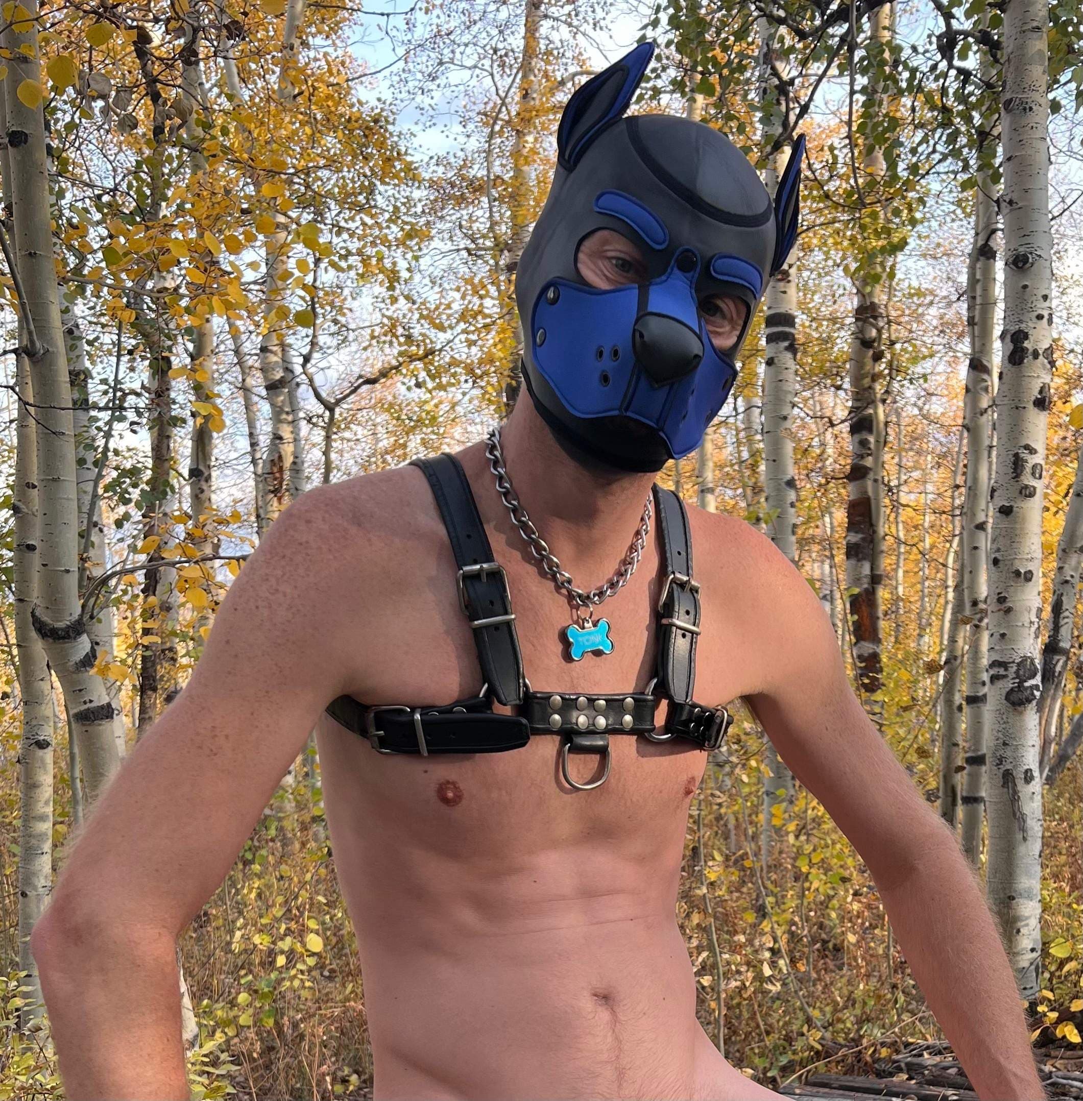 Pup Tonk