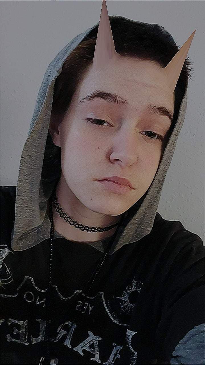 Little kitten