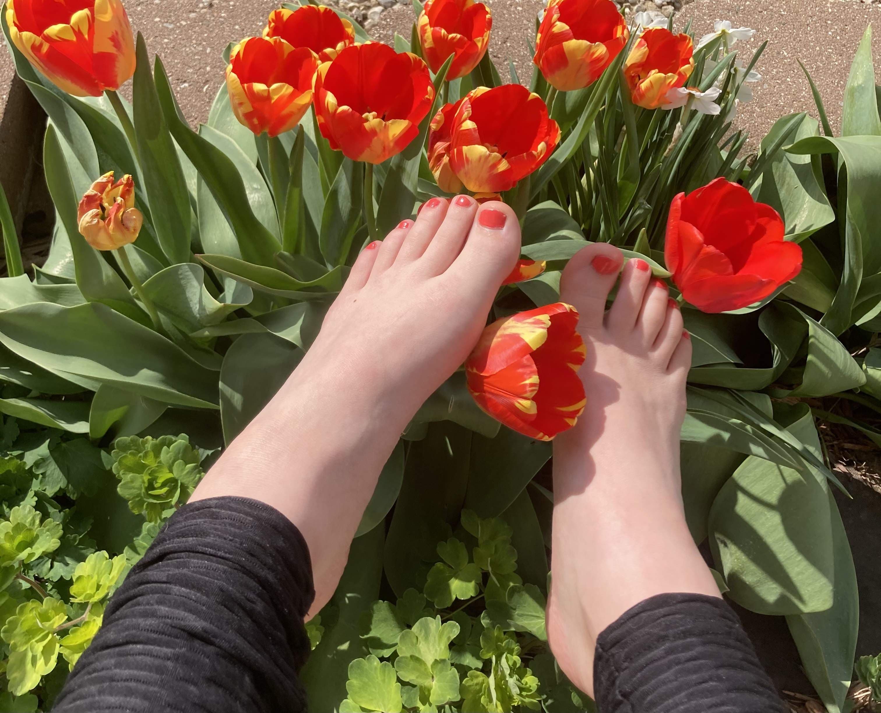 Lilly’s Lesbian Toes