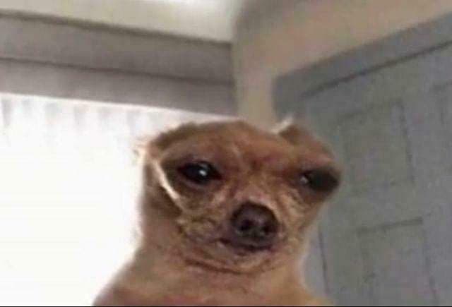 DEGO