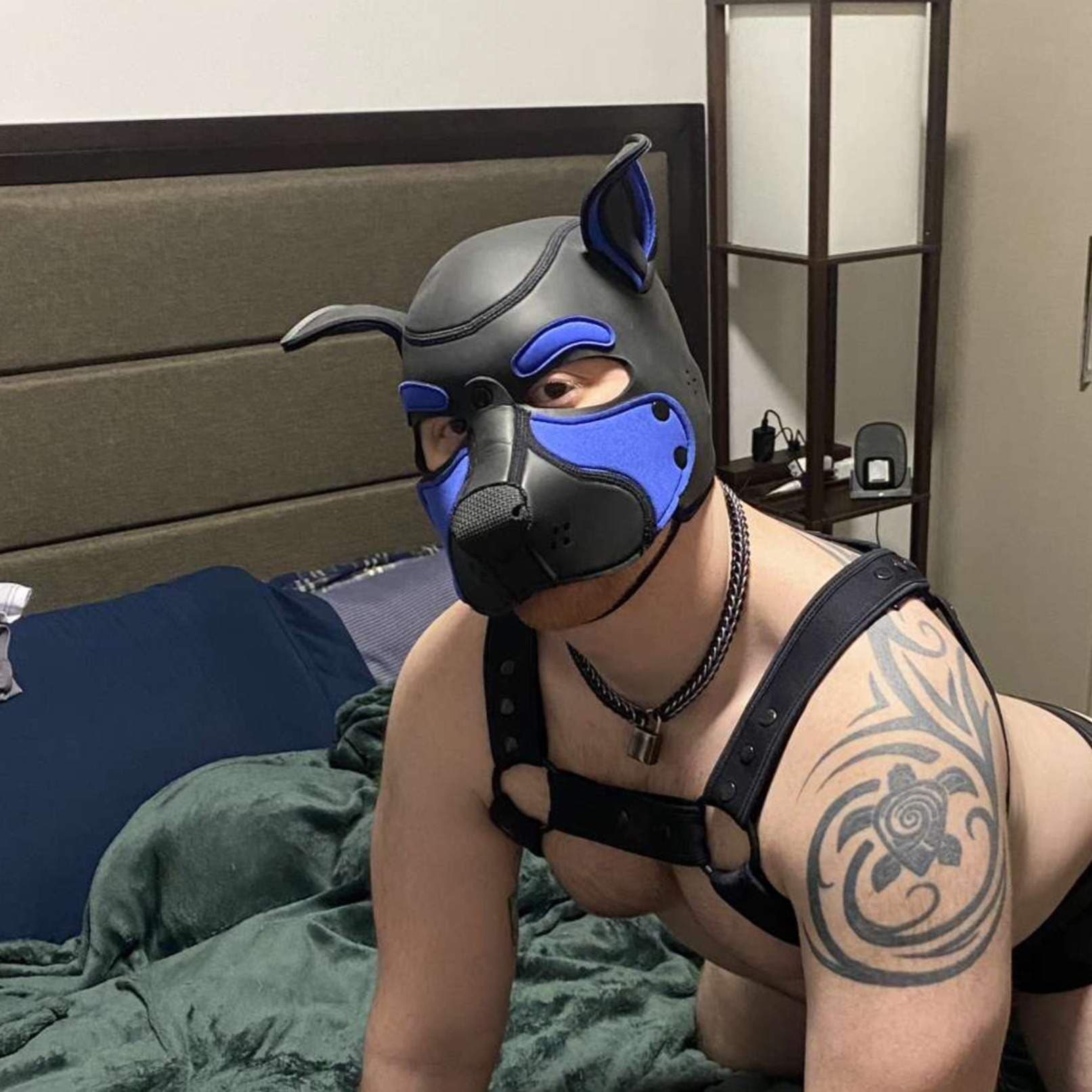 Copper Pup